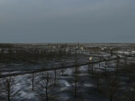 Graviteam Tactics: Mius-Front