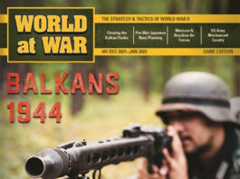 World at War 81