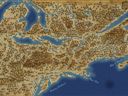 Small Wars : Mohicans